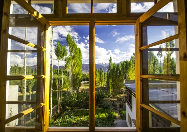 Wood Window Replacement in Carlsbad